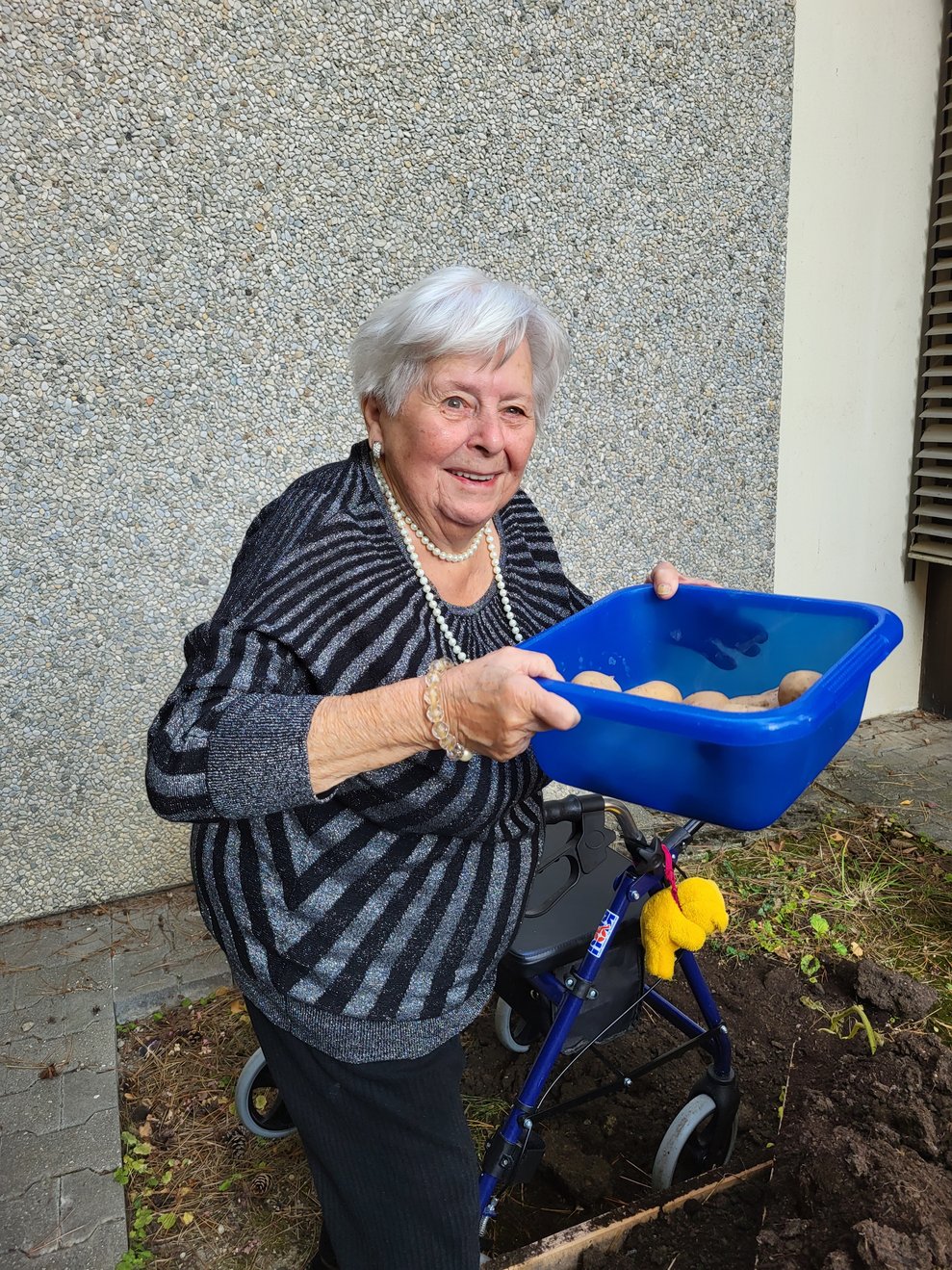 Frau W. präsentiert stolz die Kartoffelernte.
