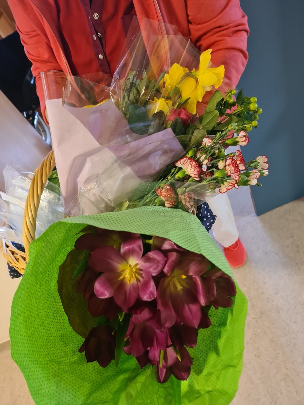Verschiedene Blumen und Kräuter.