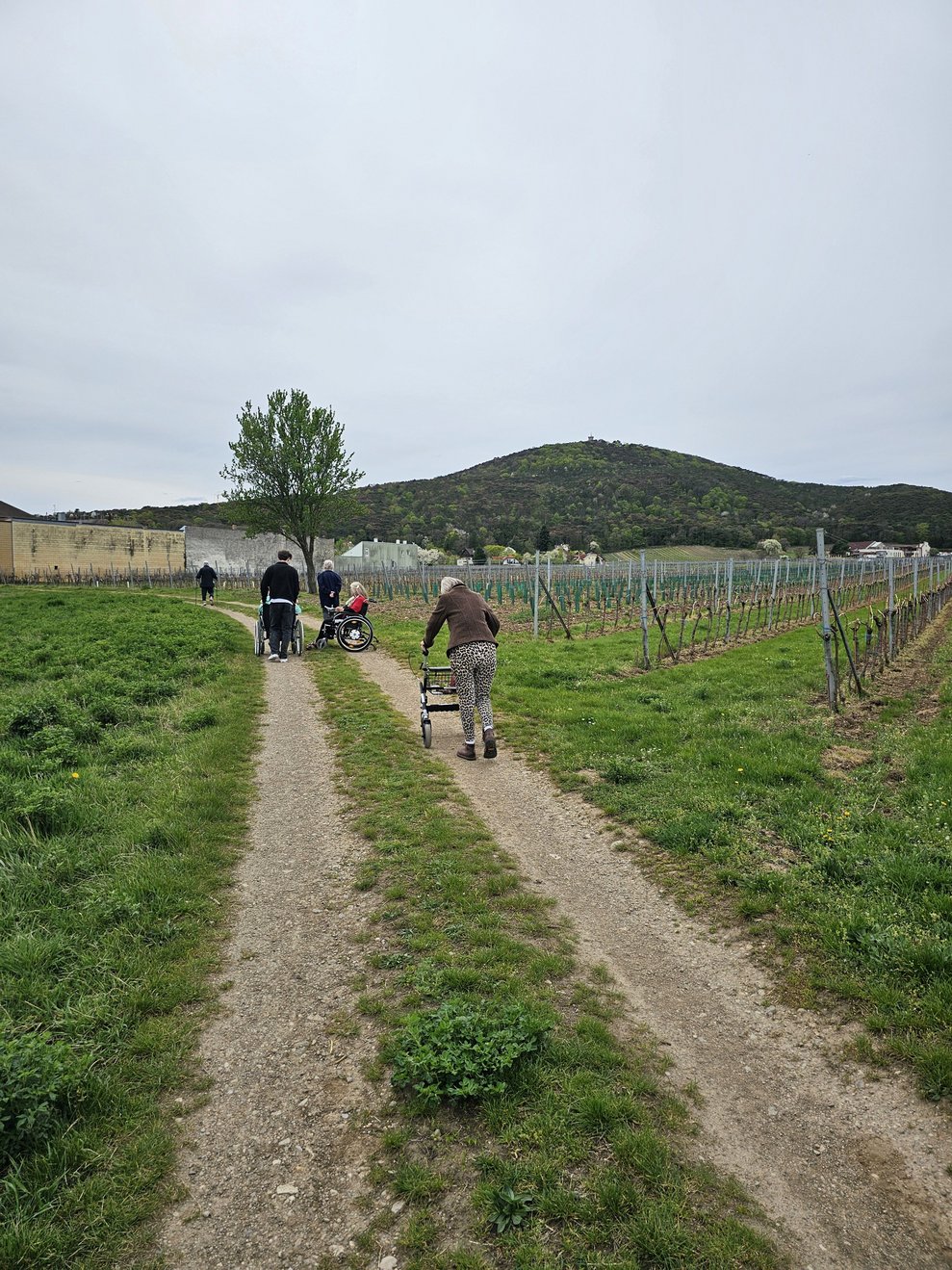 Nicht nur Vergnügen sondern auch Training bietet so eine Wanderung.