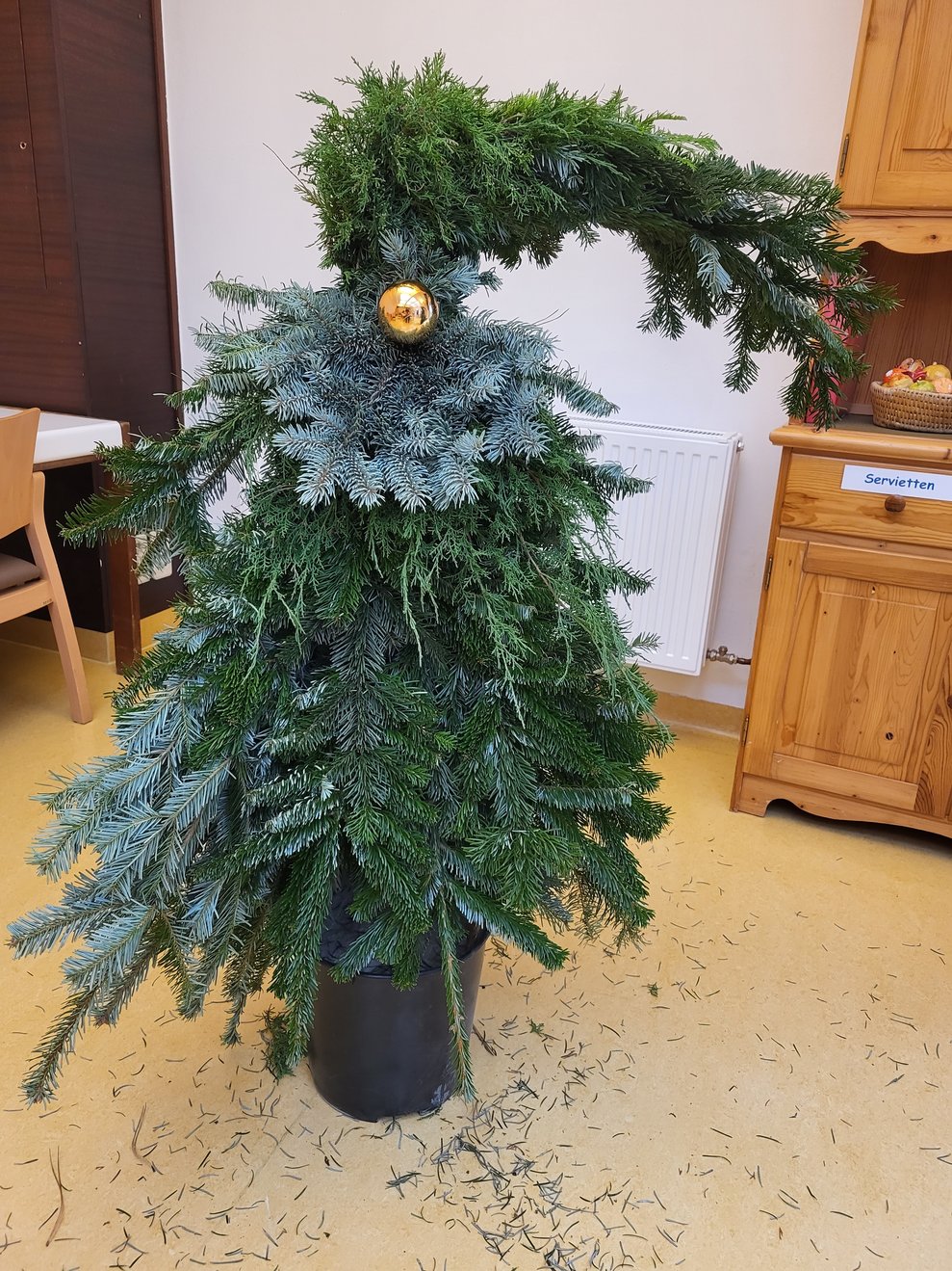 Moritz, wie ihn die BewohnerInnen getauft haben, verschönert jetzt unseren Eingang.