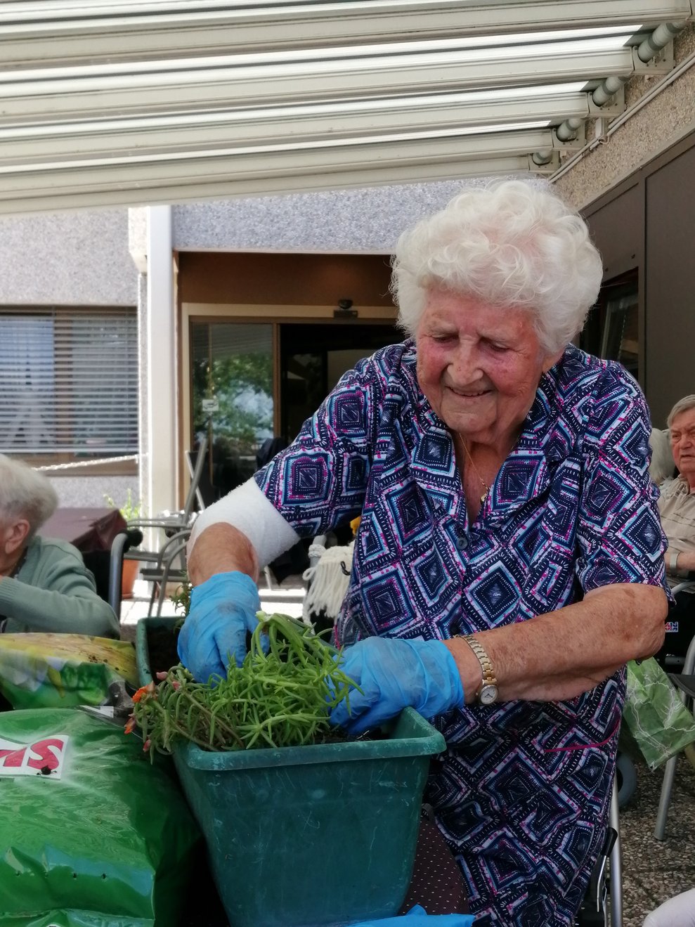 Frau P. hilft gerne mit und setzt die Balkonblumen ein.