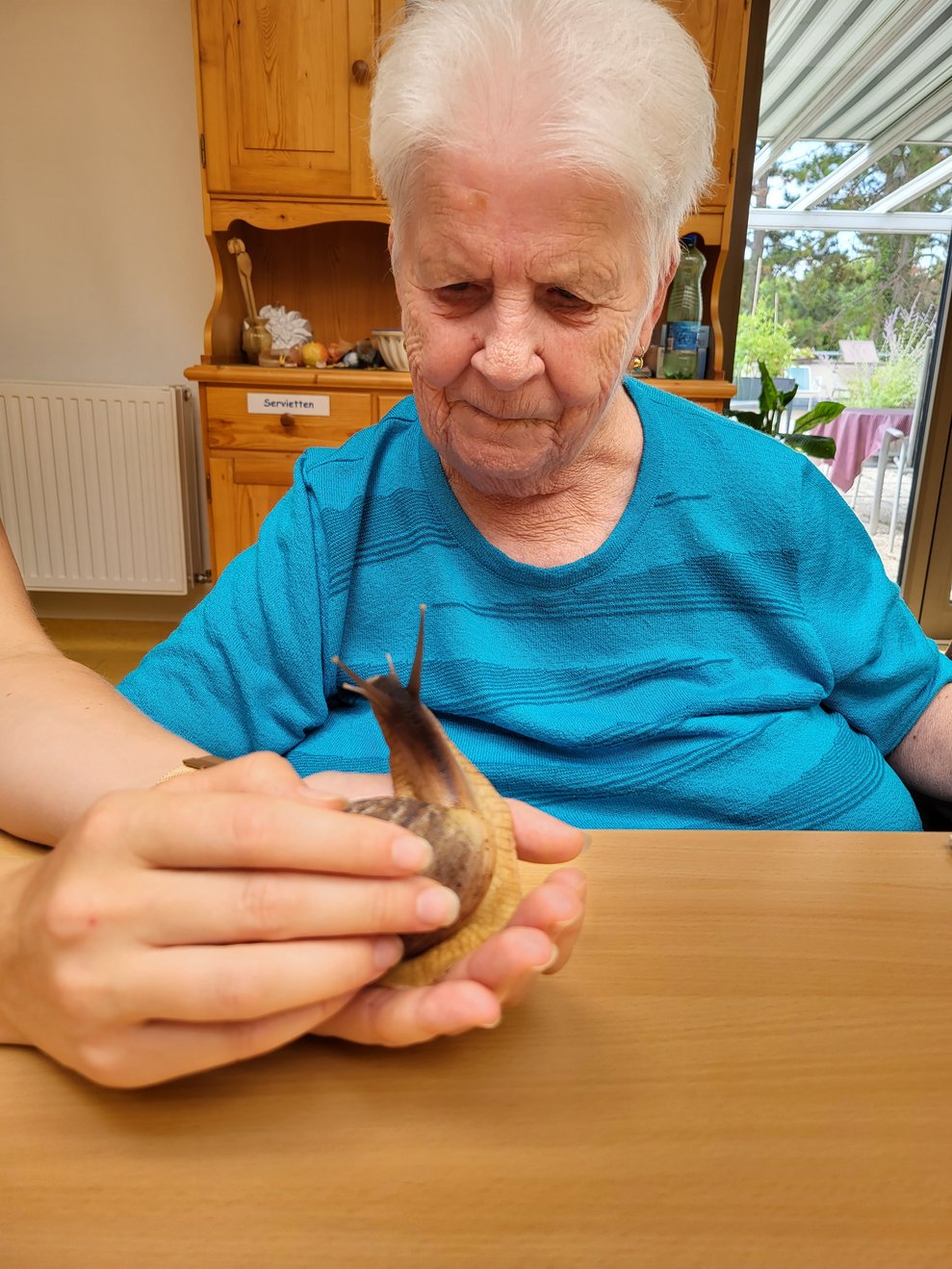 Auch die Schnecke Guiseppe schaute sich die Umgebung ganz genau an.