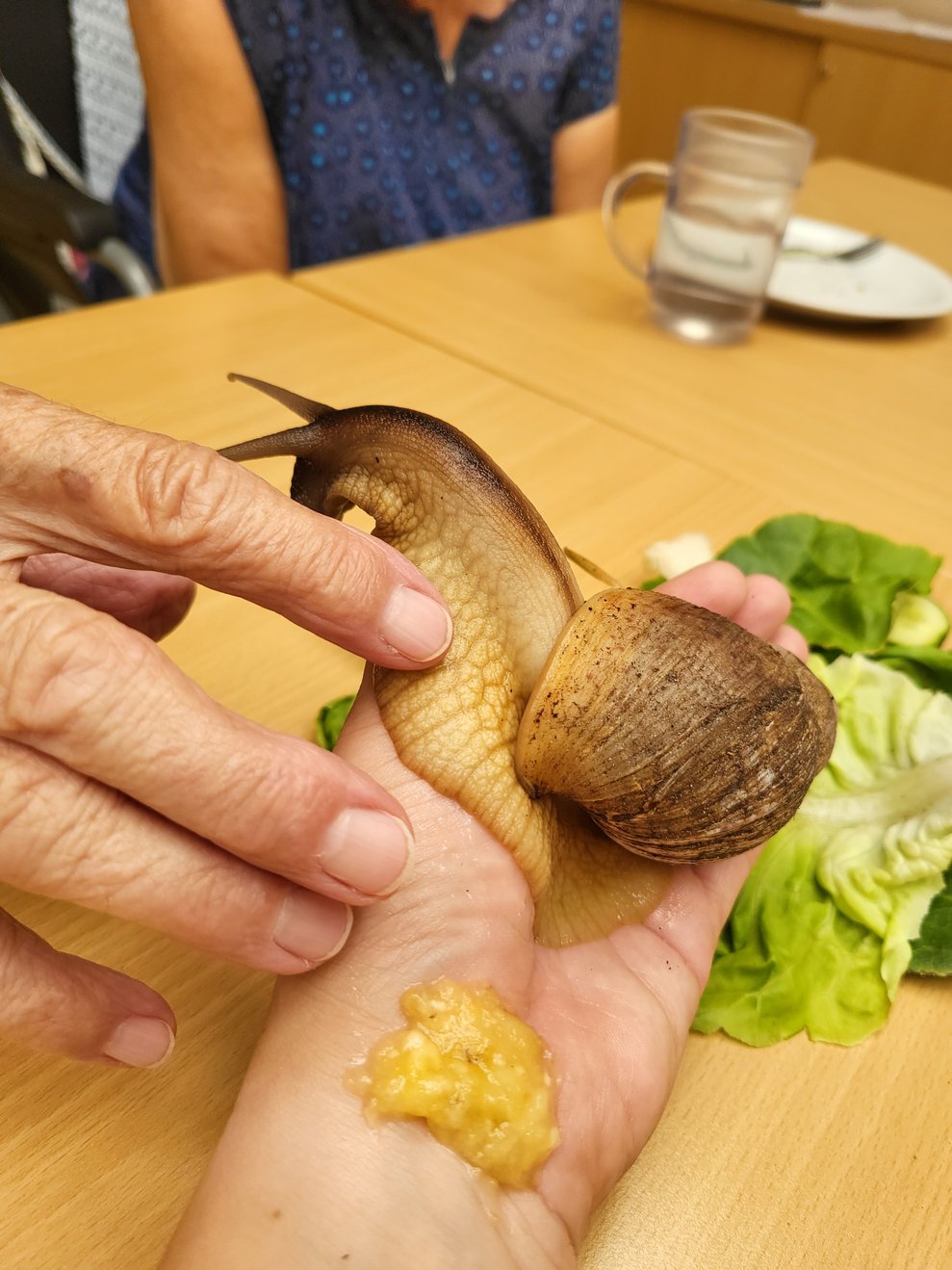 Die zerdrückte Banane interessierte Speedy überhaupt nicht, die Umgebung war viel interessanter. 