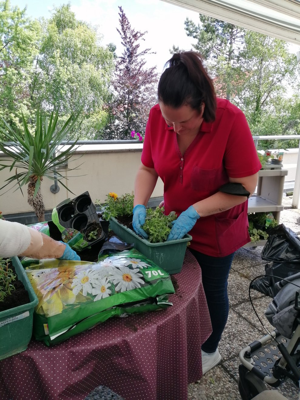 Insgesamt sind 15 Blumenkisten und etliche Blumentröge zu befüllen.